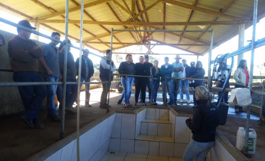 Assistência técnica e um bom planejamento geram aumento na produção e qualidade do leite - Curitiba, 09/06/2021 - Foto: IDR-PARANÁ