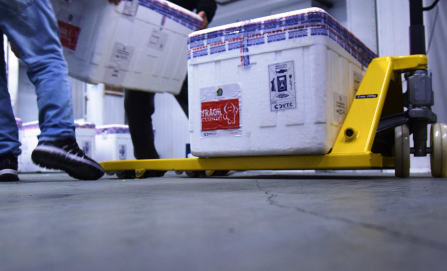 O Paraná recebeu na noite desta quarta-feira (9) mais 238 mil vacinas contra a Covid-19, sendo 237 mil doses do imunizante AstraZeneca produzida no Brasil pela Fiocruz e mil doses da AstraZeneca/Covax/Oxford, importadas por meio do consórcio Covax Facility. As vacinas fazem parte da 24ª pauta de distribuição do Ministério da Saúde. - curitiba, 09/06/2021 - Foto: Américo Antonio/SESA