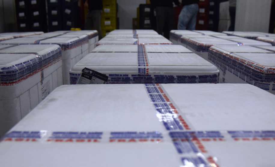 O Paraná recebeu na noite desta quarta-feira (9) mais 238 mil vacinas contra a Covid-19, sendo 237 mil doses do imunizante AstraZeneca produzida no Brasil pela Fiocruz e mil doses da AstraZeneca/Covax/Oxford, importadas por meio do consórcio Covax Facility. As vacinas fazem parte da 24ª pauta de distribuição do Ministério da Saúde. - curitiba, 09/06/2021 - Foto: Américo Antonio/SESA