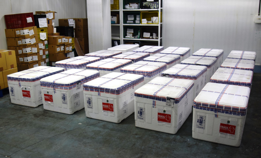 O Paraná recebeu na noite desta quarta-feira (9) mais 238 mil vacinas contra a Covid-19, sendo 237 mil doses do imunizante AstraZeneca produzida no Brasil pela Fiocruz e mil doses da AstraZeneca/Covax/Oxford, importadas por meio do consórcio Covax Facility. As vacinas fazem parte da 24ª pauta de distribuição do Ministério da Saúde. - curitiba, 09/06/2021 - Foto: Américo Antonio/SESA