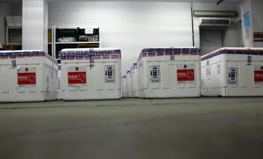 O Paraná recebeu na noite desta quarta-feira (9) mais 238 mil vacinas contra a Covid-19, sendo 237 mil doses do imunizante AstraZeneca produzida no Brasil pela Fiocruz e mil doses da AstraZeneca/Covax/Oxford, importadas por meio do consórcio Covax Facility. As vacinas fazem parte da 24ª pauta de distribuição do Ministério da Saúde. - curitiba, 09/06/2021 - Foto: Américo Antonio/SESA