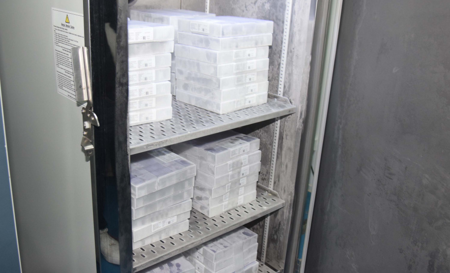 Vacina Pfizer - Foto: Américo Antonio/SESA