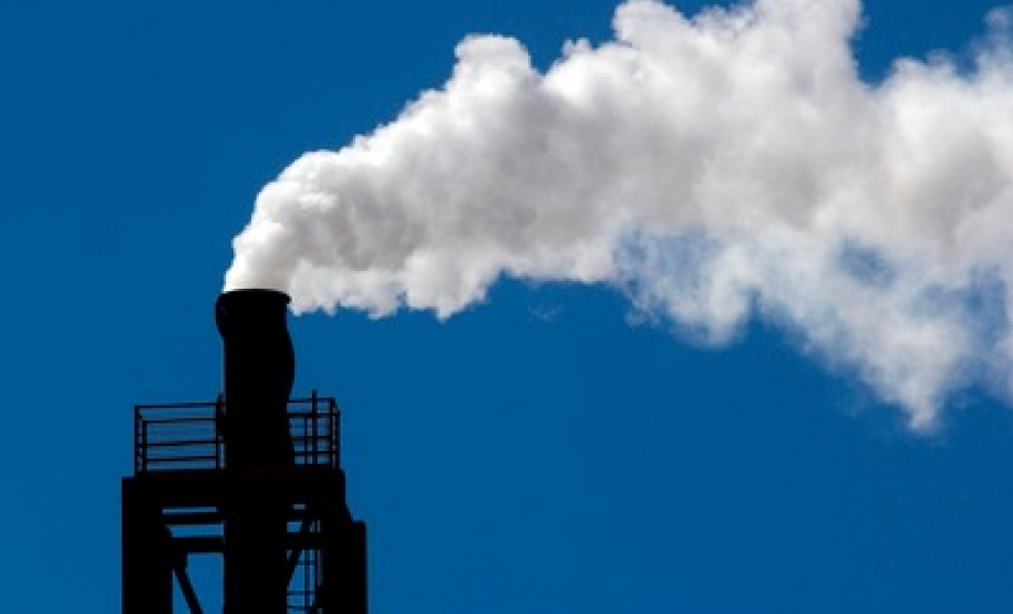 Empresas que aderem ao Selo Clima Paraná agregam valor de mercado nos seus produtos
. Foto: Denis Ferreira netto/SEDEST