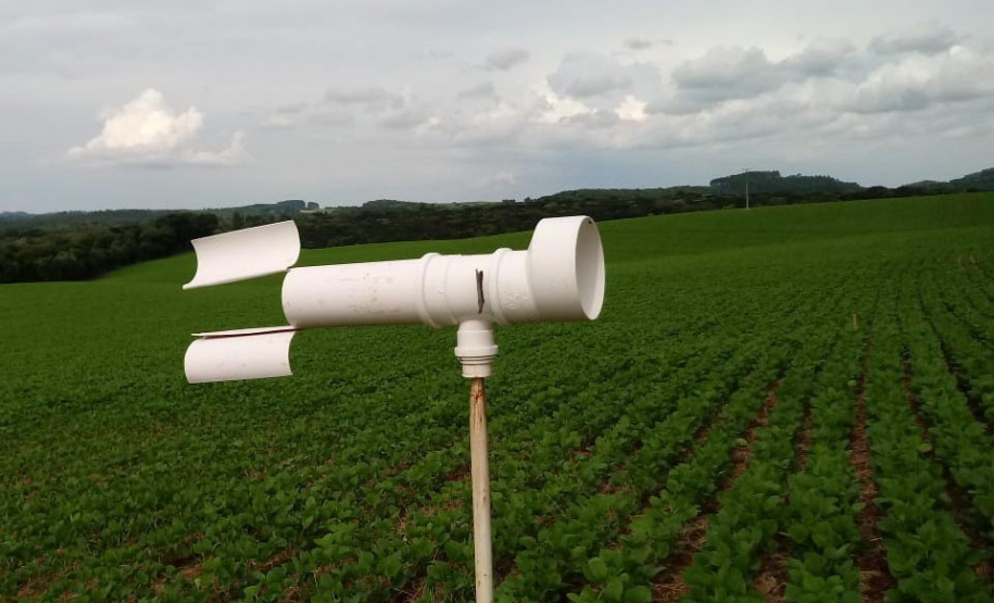 O vazio sanitário da soja no Paraná inicia nesta quinta-feira (10) e segue até 10 de setembro. Neste período, fica proibido cultivar, manter ou permitir a existência de plantas vivas de soja no campo. O objetivo é reduzir a sobrevivência do fungo causador da ferrugem asiática durante a entressafra e consequentemente atrasar a ocorrência da doença na próxima safra. - Foto: SEAB