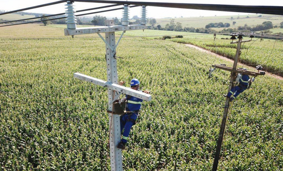 Paraná Trifásico    -  Foto: Divulgação Copel