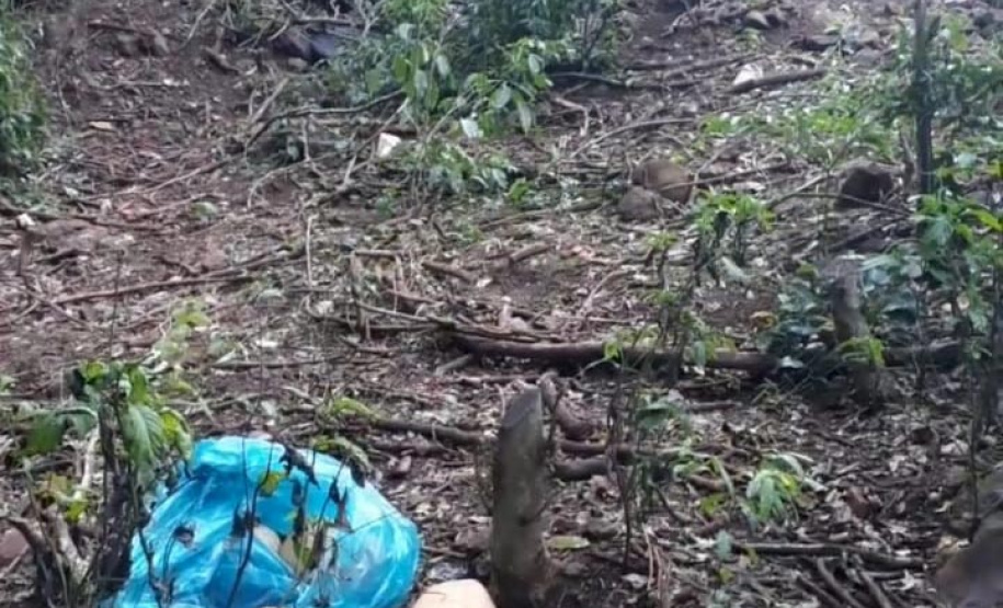 Um trabalho de inteligência do 5º Comando Regional da PM (5º CRPM) na região Oeste do Estado resultou na apreensão de 1,1 tonelada de maconha e no encaminhamento de seis pessoas nesta quinta-feira (10) na cidade de Santa Helena.  -  Curitiba, 11/06/2021  -  Foto: PMPR