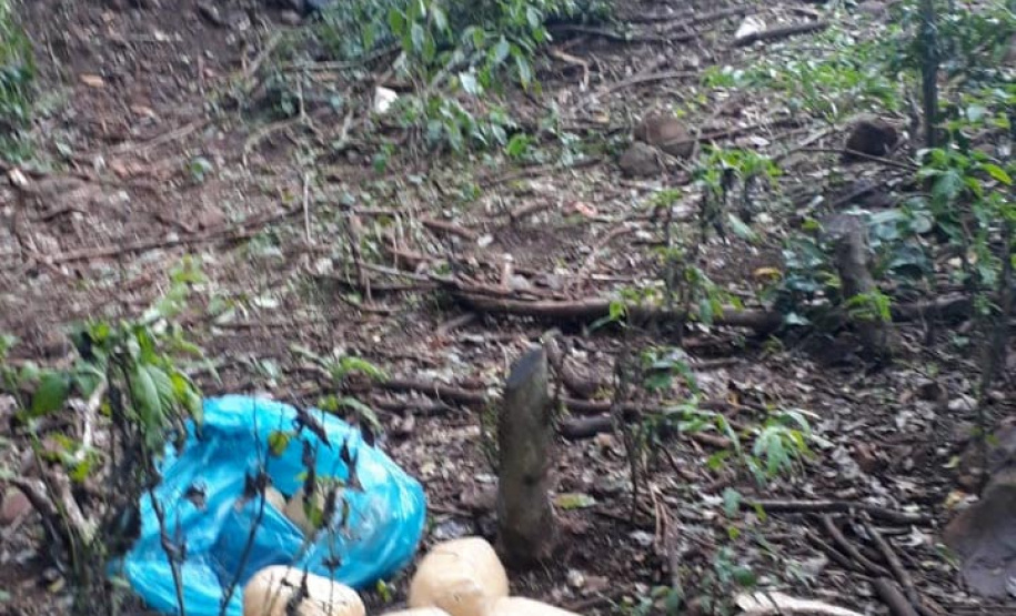 Um trabalho de inteligência do 5º Comando Regional da PM (5º CRPM) na região Oeste do Estado resultou na apreensão de 1,1 tonelada de maconha e no encaminhamento de seis pessoas nesta quinta-feira (10) na cidade de Santa Helena.  -  Curitiba, 11/06/2021  -  Foto: PMPR