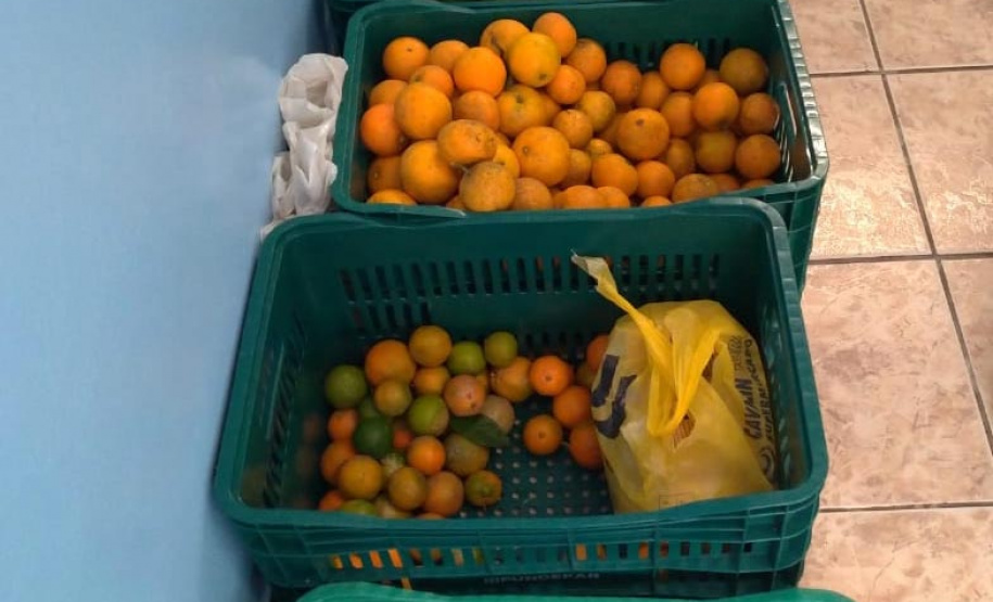 Nesta sexta-feira (11) ocorre mais uma entrega de alimentos às famílias mais vulneráveis da comunidade escolar. Desta vez a distribuição é de produtos da agricultura familiar. - Curitiba, 11/06/2021 - Foto: Fundepar