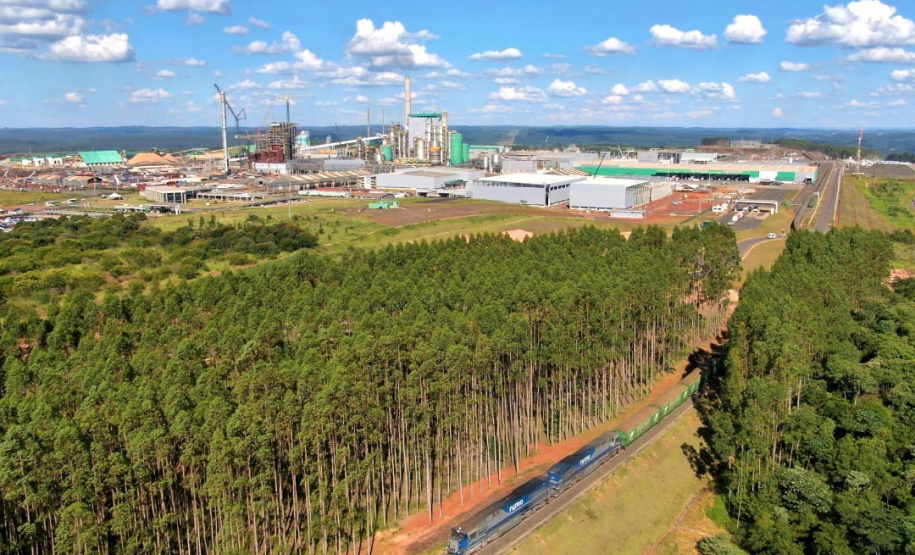 A primeira fase da ampliação das atividades da Klabin. no município de Ortigueira - Projeto Puma II, nos Campos Gerais, recebeu a Licença de Operação (LO) nesta quinta-feira (10). O documento foi entregue pelo Instituto Água e Terra (IAT), órgão vinculado à Secretaria do Desenvolvimento Sustentável e do Turismo (Sedest). - Curitiba, 11/06/2021 - Foto: Rafael Chuí - Klabin