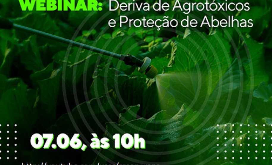 Webinar sobre deriva de agrotóxicos e proteção de abelhas acontece na segunda - Foto: Divulgação Adapr