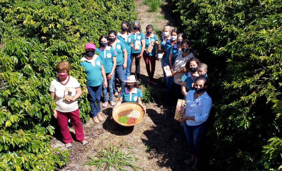 Projeto Mulheres do Café valoriza produtoras e garante fama internacional ao Norte Pioneiro. Foto: Ari Dias/AEN