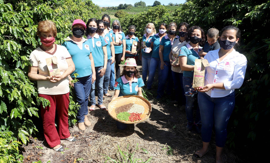 Projeto Mulheres do Café valoriza produtoras e garante fama internacional ao Norte Pioneiro. Foto: Ari Dias/AEN