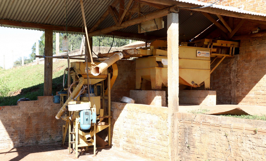 Projeto Mulheres do Café valoriza produtoras e garante fama internacional ao Norte Pioneiro. Foto: Ari Dias/AEN