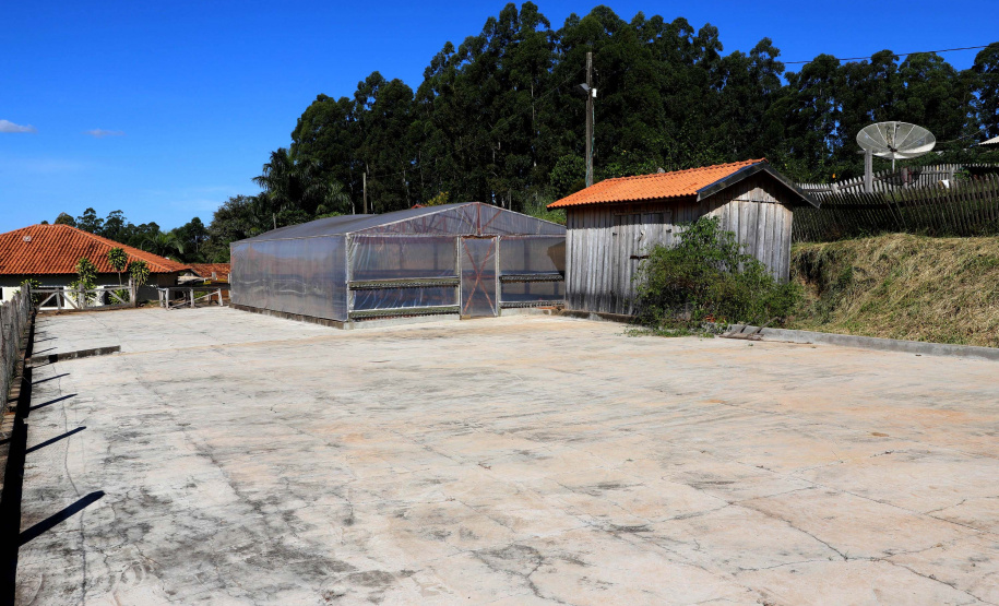 Projeto Mulheres do Café valoriza produtoras e garante fama internacional ao Norte Pioneiro. Foto: Ari Dias/AEN