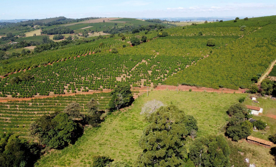 Projeto Mulheres do Café valoriza produtoras e garante fama internacional ao Norte Pioneiro. Foto: Ari Dias/AEN