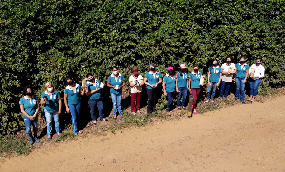 Projeto Mulheres do Café valoriza produtoras e garante fama internacional ao Norte Pioneiro. Foto: Ari Dias/AEN