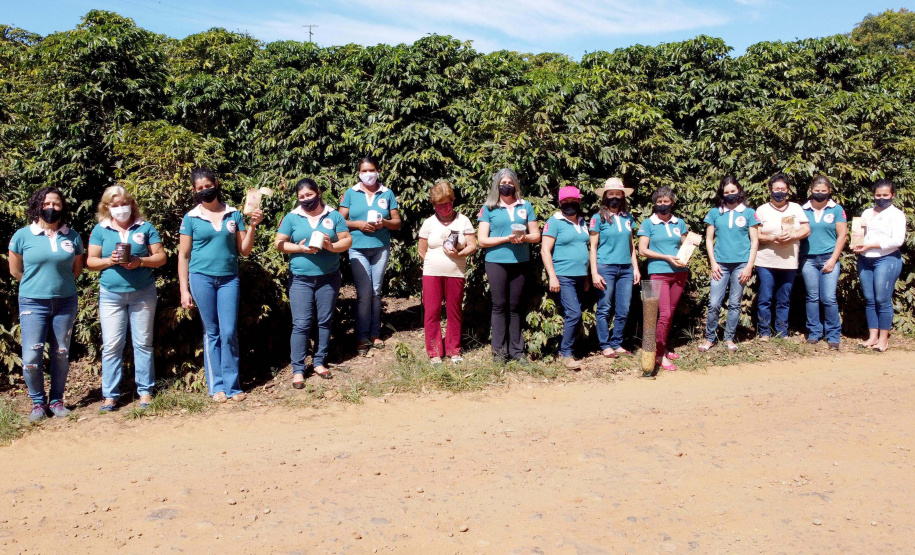 Projeto Mulheres do Café valoriza produtoras e garante fama internacional ao Norte Pioneiro. Foto: Ari Dias/AEN