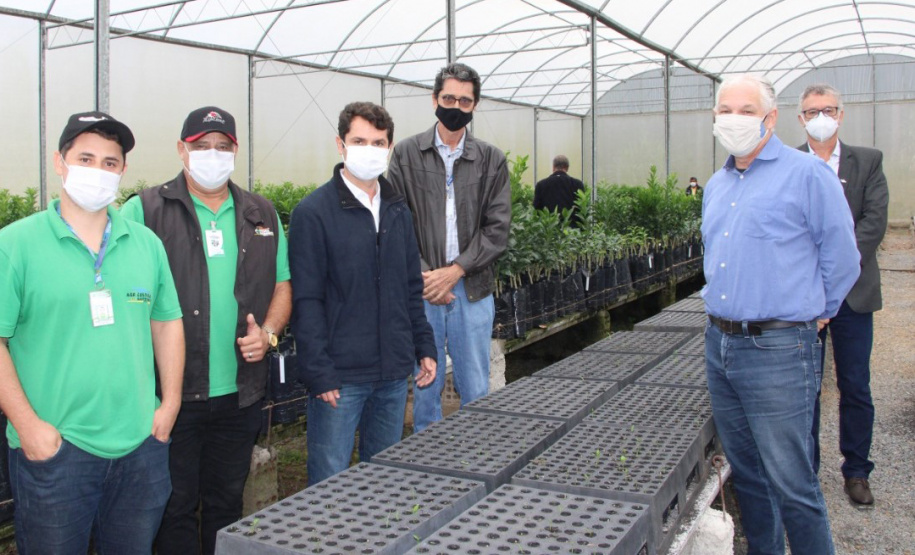 Na cidade de Cerro Azul, capital nacional da ponkan, o IDR-Paraná (Instituto de Desenvolvimento Rural do Paraná ? Iapar-Emater) em parceria com a Secretaria Estadual de Agricultura e Abastecimento, Prefeitura de Cerro Azul e Sebrae, realizou a entrega de mudas de ponkan para 20 agricultores da região. -  Foto: IDR-PARANÁ