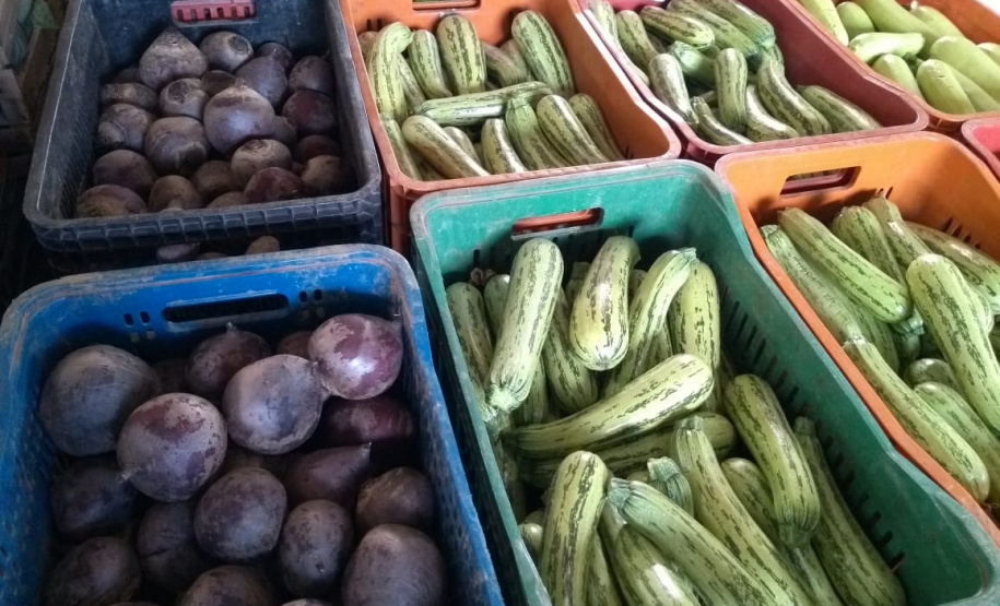 Cooperativas familiares movimentam R$3 milhõesem um ano de atividade na Ceasa de Curitiba - Curitiba, 14/06/2021 - Foto: IDR-PARANÁ