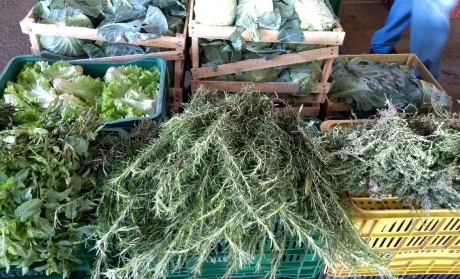 Cooperativas familiares movimentam R$3 milhõesem um ano de atividade na Ceasa de Curitiba - Curitiba, 14/06/2021 - Foto: IDR-PARANÁ