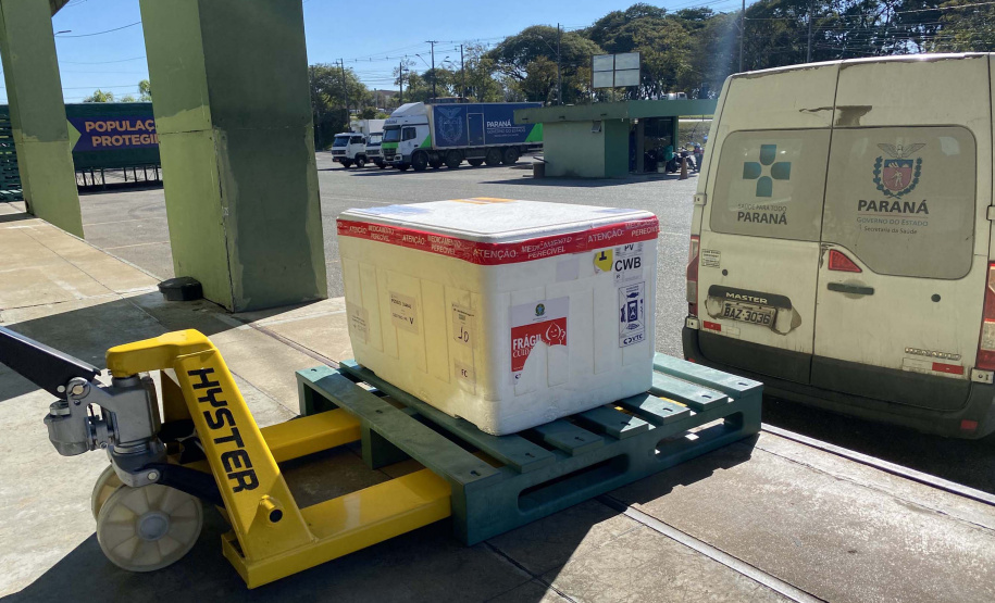 Mais de 255,7 mil vacinas contra a Covid-19 são distribuídas nesta segunda-feira. Foto: Américo Antonio/SESA