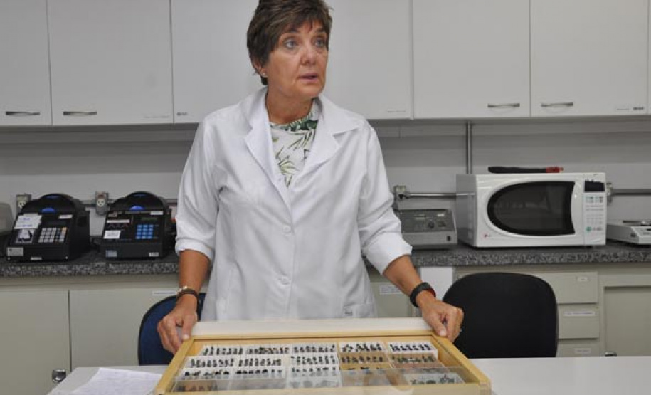 Professora Silvia Helena Sofia, que atua no LAGEA, Laboratório de Genética e Biologia Animal da UEL. Foto: Arquivo/COMUEL