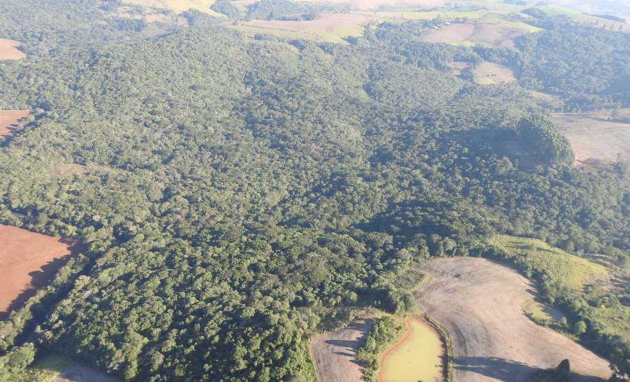 Est. Ecol. Cachoeirinha-BVSR.  -  Foto: SEDEST