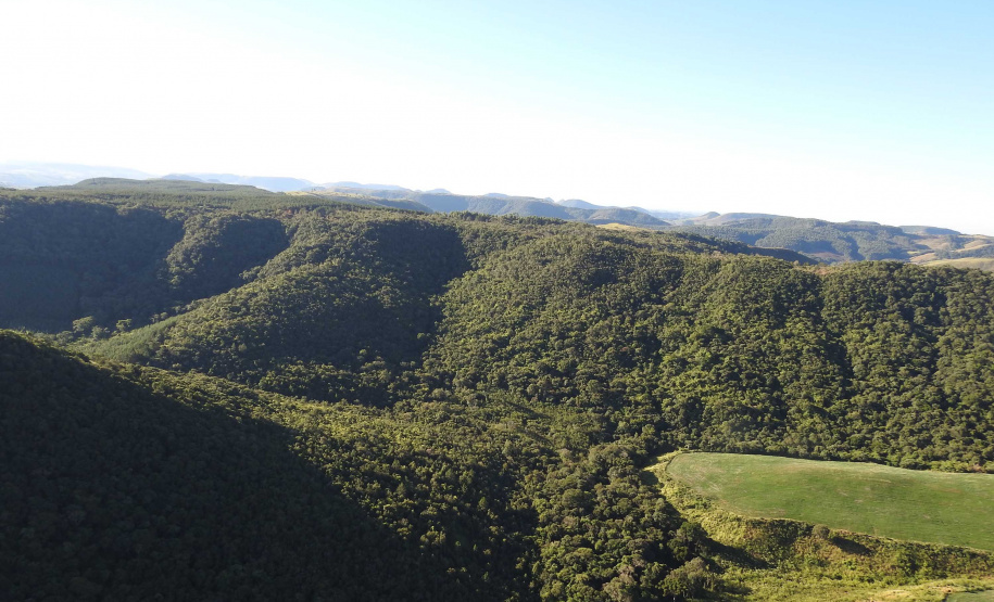 Estac&#807;a&#771;o Ecolo&#769;gica Municipal Rio Pratinha, munici&#769;pio de Santa Maria do Oeste, PR  -  Foto: SEDEST