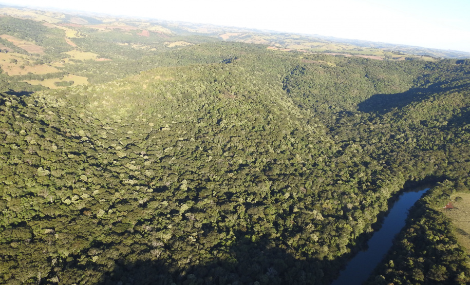 Estac?a?o Ecolo?gica Municipal de Palmital, munici?pio de Palmital  -  Foto: SEDEST