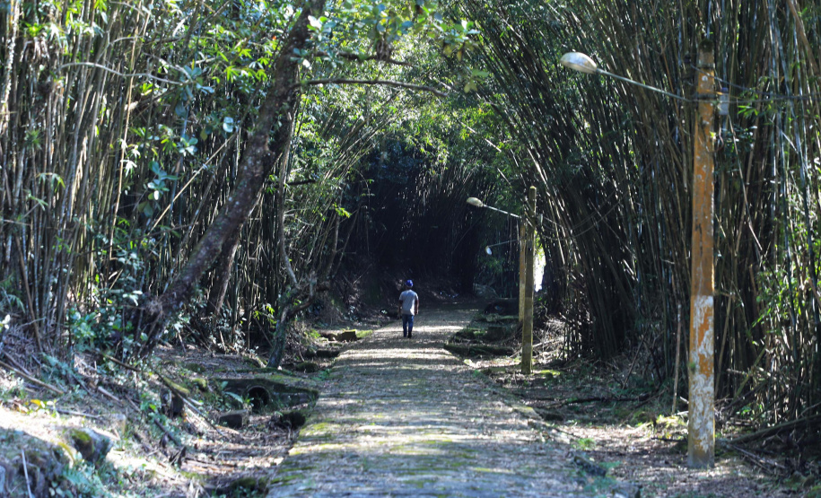 Ilha das Cobras começa a mudar de cara para receber a Escola do Mar
. Foto: José Fernando Ogura/AEN