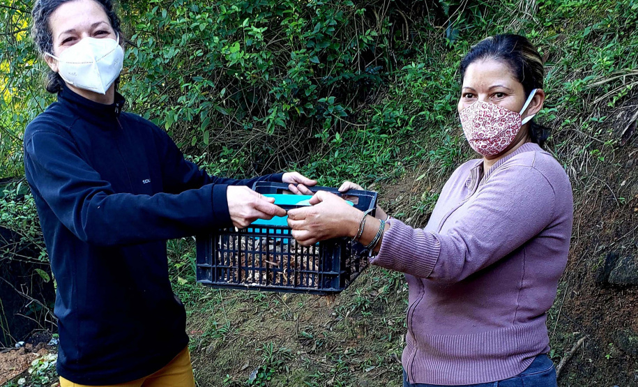 Educação ambiental através da permacultura e sustentabilidade no litoral
. Foto: Claudio Neves/ Portos do Paraná