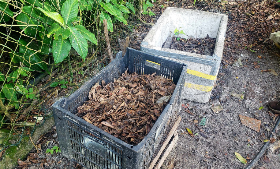 Educação ambiental através da permacultura e sustentabilidade no litoral
. Foto: Claudio Neves/ Portos do Paraná