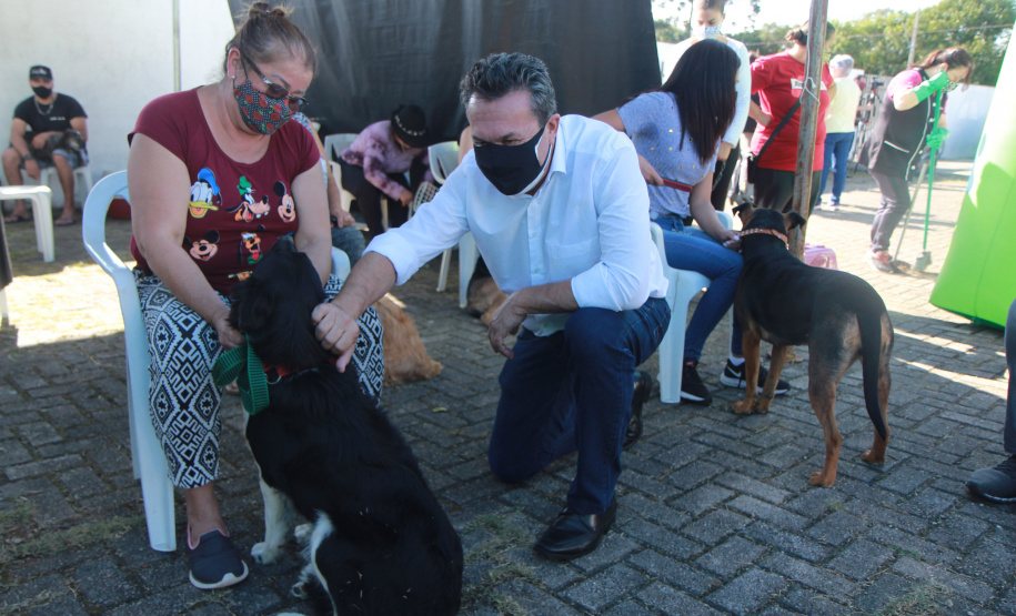 Os programas CastraPet (Programa Permanente de Esterilização de Cães e Gatos) e Paraná Mais Verde, desenvolvidos pela Secretaria do Desenvolvimento Sustentável e do Turismo (Sedest) e seu órgão vinculado, o Instituto Água e Terra (IAT), foram inscritos na 28ª edição do Prêmio Expressão Ecologia.  -  Foto: Alessandro Vieira/AEN