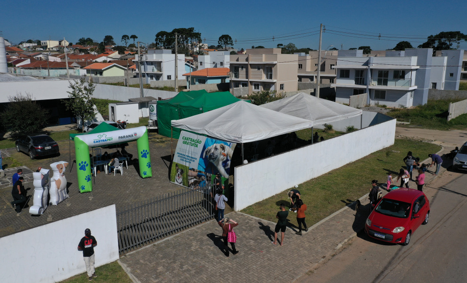 Os programas CastraPet (Programa Permanente de Esterilização de Cães e Gatos) e Paraná Mais Verde, desenvolvidos pela Secretaria do Desenvolvimento Sustentável e do Turismo (Sedest) e seu órgão vinculado, o Instituto Água e Terra (IAT), foram inscritos na 28ª edição do Prêmio Expressão Ecologia.  -  Foto: Alessandro Vieira/AEN