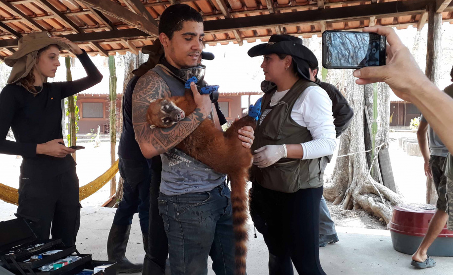 Curso capacita população para atendimento a animais vítimas de desastres naturais
. Foto:Raphael Eduardo Fernandes Santos/SEDEST