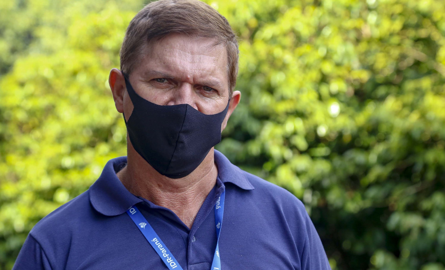 Abacate conquista o lugar do café no Vale do Ivaí e no Norte do Paraná. Foto Gilson Abreu/AEN