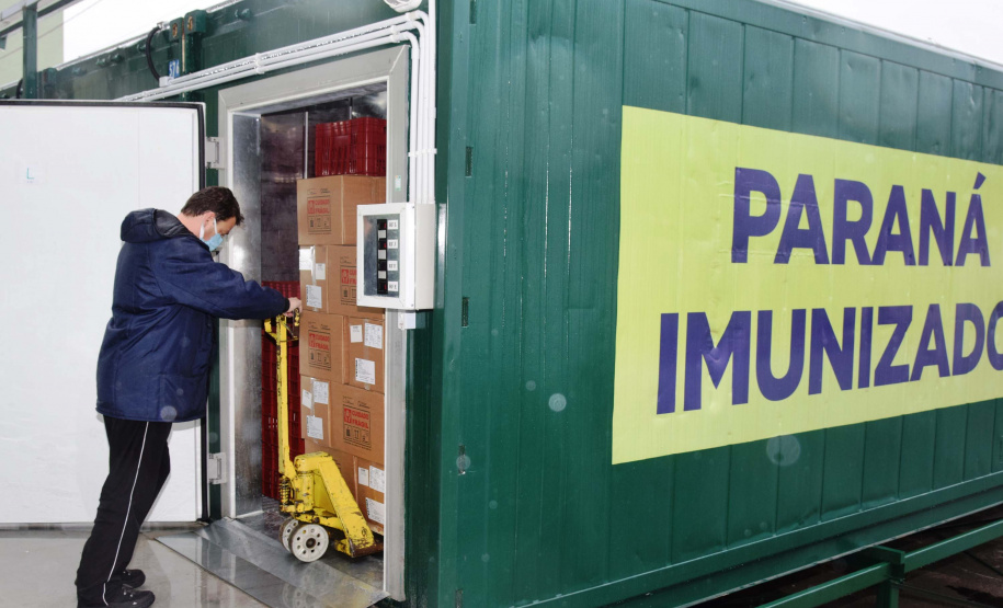 Com mais 450 mil doses, Cemepar começa a dividir novo lote de vacinas contra a Covid-19. Foto: Américo Antonio/SESA