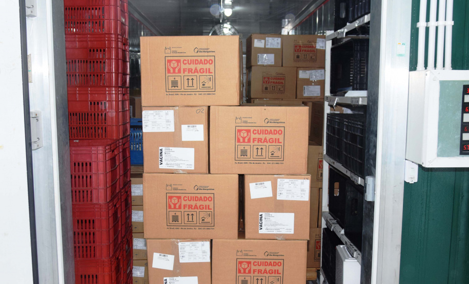 Com mais 450 mil doses, Cemepar começa a dividir novo lote de vacinas contra a Covid-19. Foto: Américo Antonio/SESA