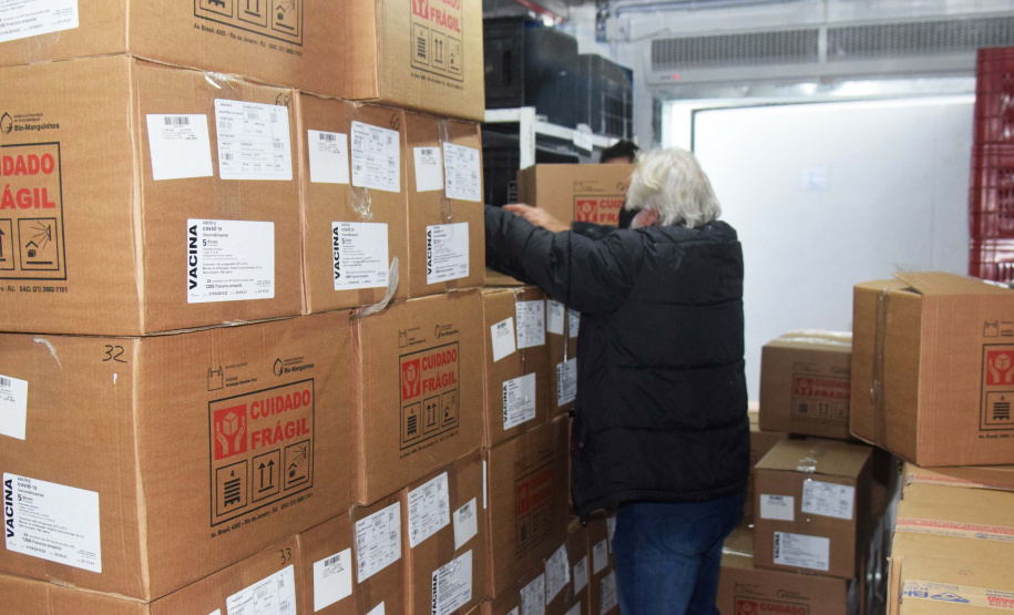 Com mais 450 mil doses, Cemepar começa a dividir novo lote de vacinas contra a Covid-19. Foto: Américo Antonio/SESA