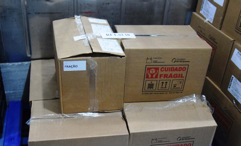 Com mais 450 mil doses, Cemepar começa a dividir novo lote de vacinas contra a Covid-19. Foto: Américo Antonio/SESA