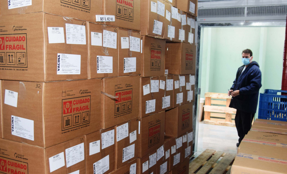 Com mais 450 mil doses, Cemepar começa a dividir novo lote de vacinas contra a Covid-19. Foto: Américo Antonio/SESA