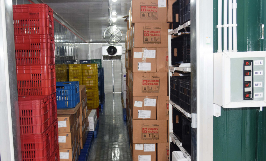 Com mais 450 mil doses, Cemepar começa a dividir novo lote de vacinas contra a Covid-19. Foto: Américo Antonio/SESA