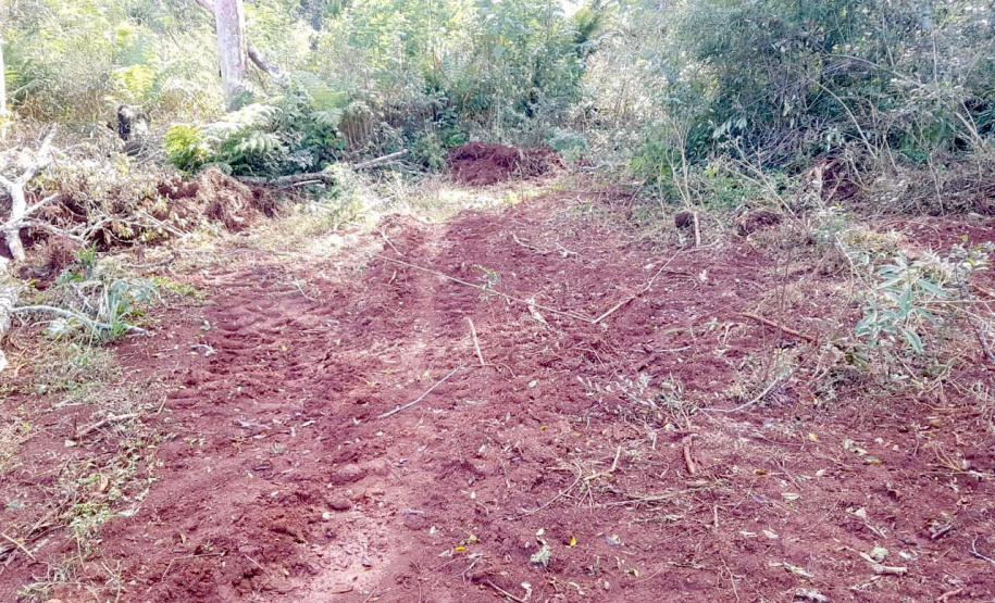 O Batalhão de Polícia Ambiental-Força Verde (BPAmb-FV) e o Instituto Água e Terra (IAT) divulgaram, nesta quarta-feira (22) o balanço final da Operação Esperança, planejada para flagrar crimes ambientais contra a flora