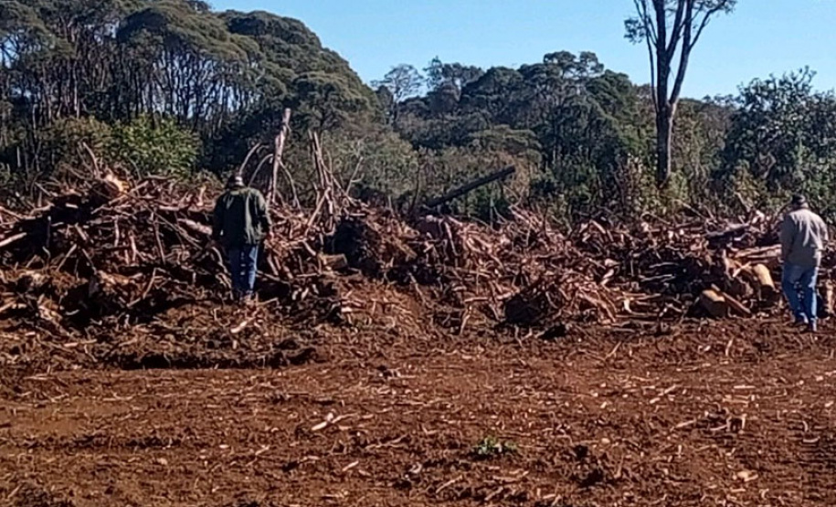 O Batalhão de Polícia Ambiental-Força Verde (BPAmb-FV) e o Instituto Água e Terra (IAT) divulgaram, nesta quarta-feira (22) o balanço final da Operação Esperança, planejada para flagrar crimes ambientais contra a flora