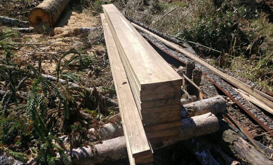 O Batalhão de Polícia Ambiental-Força Verde (BPAmb-FV) e o Instituto Água e Terra (IAT) divulgaram, nesta quarta-feira (22) o balanço final da Operação Esperança, planejada para flagrar crimes ambientais contra a flora