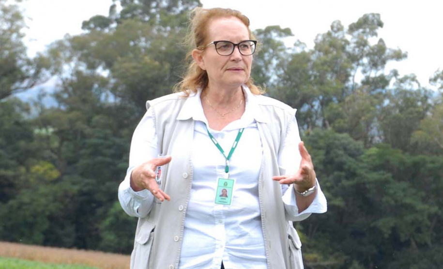 A pesquisadora Vania Moda Cirino, diretora de pesquisa do IDR-Paraná (Instituto de Desenvolvimento Rural do Paraná – Iapar-Emater), foi empossada na Academia Brasileira de Ciência Agronômica (ABCA) em solenidade virtual realizada nesta terça-feira (22). Ela passa a ocupar a cadeira de número 68, que tem Geraldo Martins Chaves como patrono. 
 Foto:IDR