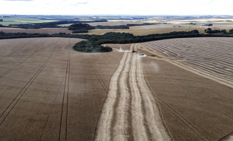 GUARAPUAVA - 08-04-2021- Colheita de soja na região de Guarapuava / Foto Jonathan Campos / AEN
