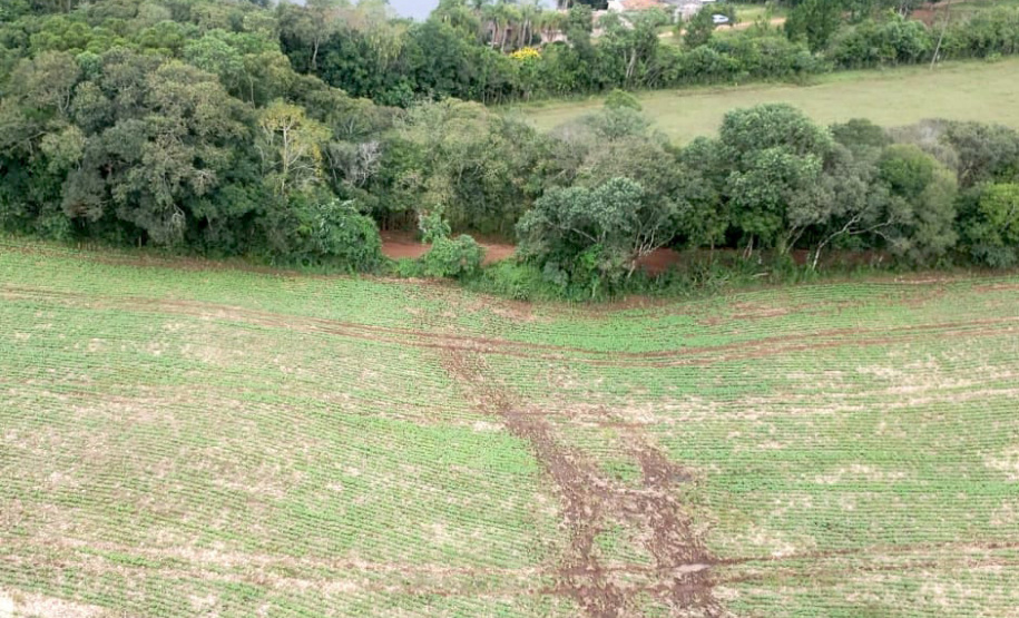 Com apoio de imagens de satélite e da aeronave do Batalhão de Operações Aéreas da Polícia Militar (BPMOA), fiscais do Escritório Regional do Instituto Água e Terra (IAT) em Ponta Grossa, nos Campos Gerais, identificaram atividades irregulares em Área de Preservação Permanente (APP) em uma propriedade rural. -  Foto: IAT
