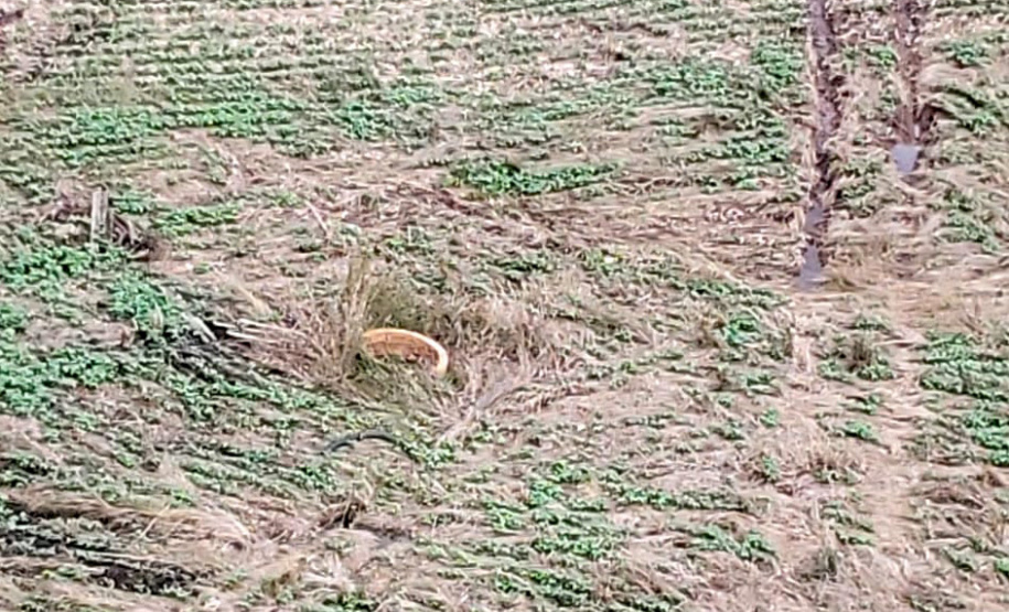 Com apoio de imagens de satélite e da aeronave do Batalhão de Operações Aéreas da Polícia Militar (BPMOA), fiscais do Escritório Regional do Instituto Água e Terra (IAT) em Ponta Grossa, nos Campos Gerais, identificaram atividades irregulares em Área de Preservação Permanente (APP) em uma propriedade rural. -  Foto: IAT