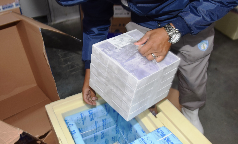 O Governo do Estado recebeu 439.340 vacinas contra a Covid-19 na tarde desta quinta-feira. Este é o primeiro lote com vacinas do braço farmacêutico da Johnson & Johnson. Foto: Américo Antonio/Sesa